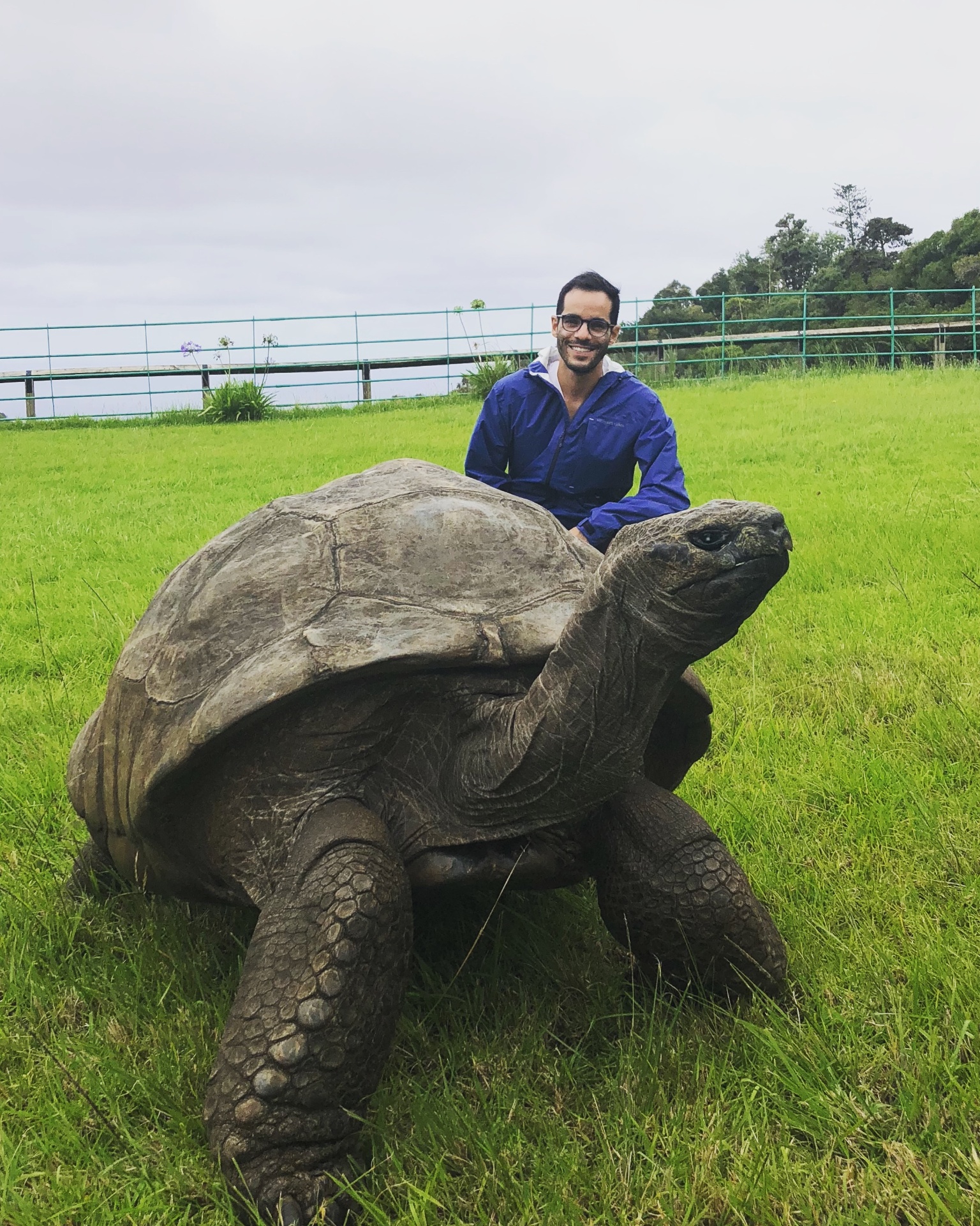 Daniel with a giant Aldabra tortoise in the Seychelles